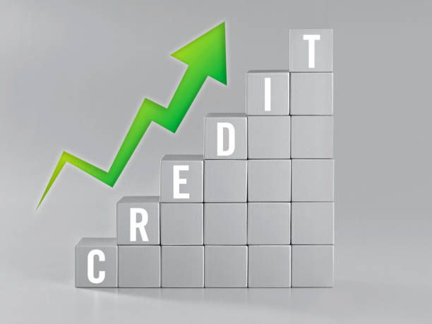Credit score growth and improvement chart